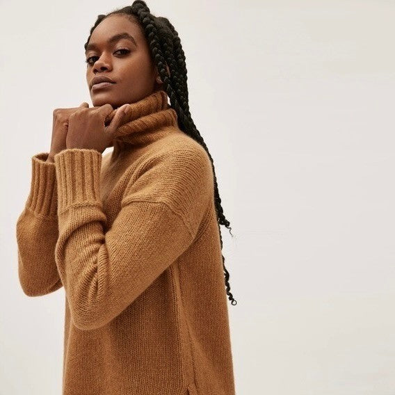 EVERLANE The Cloud Turtleneck Sweater Wool Alpaca Heathered Chai Small