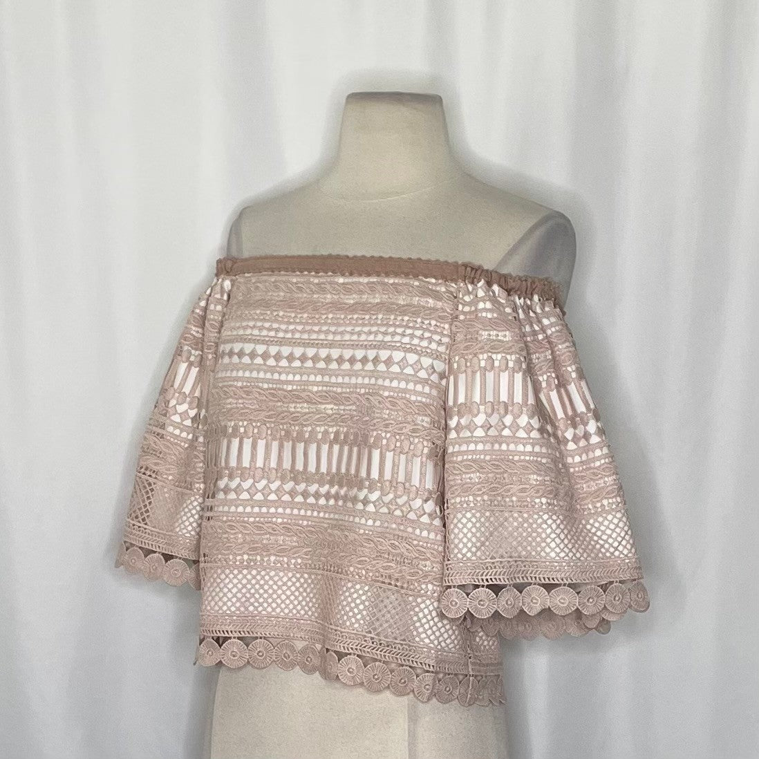 Revolve ALEXIS Finn Lace Off Shoulder Top Blouse Blush Pink Silk Lacey X-Small