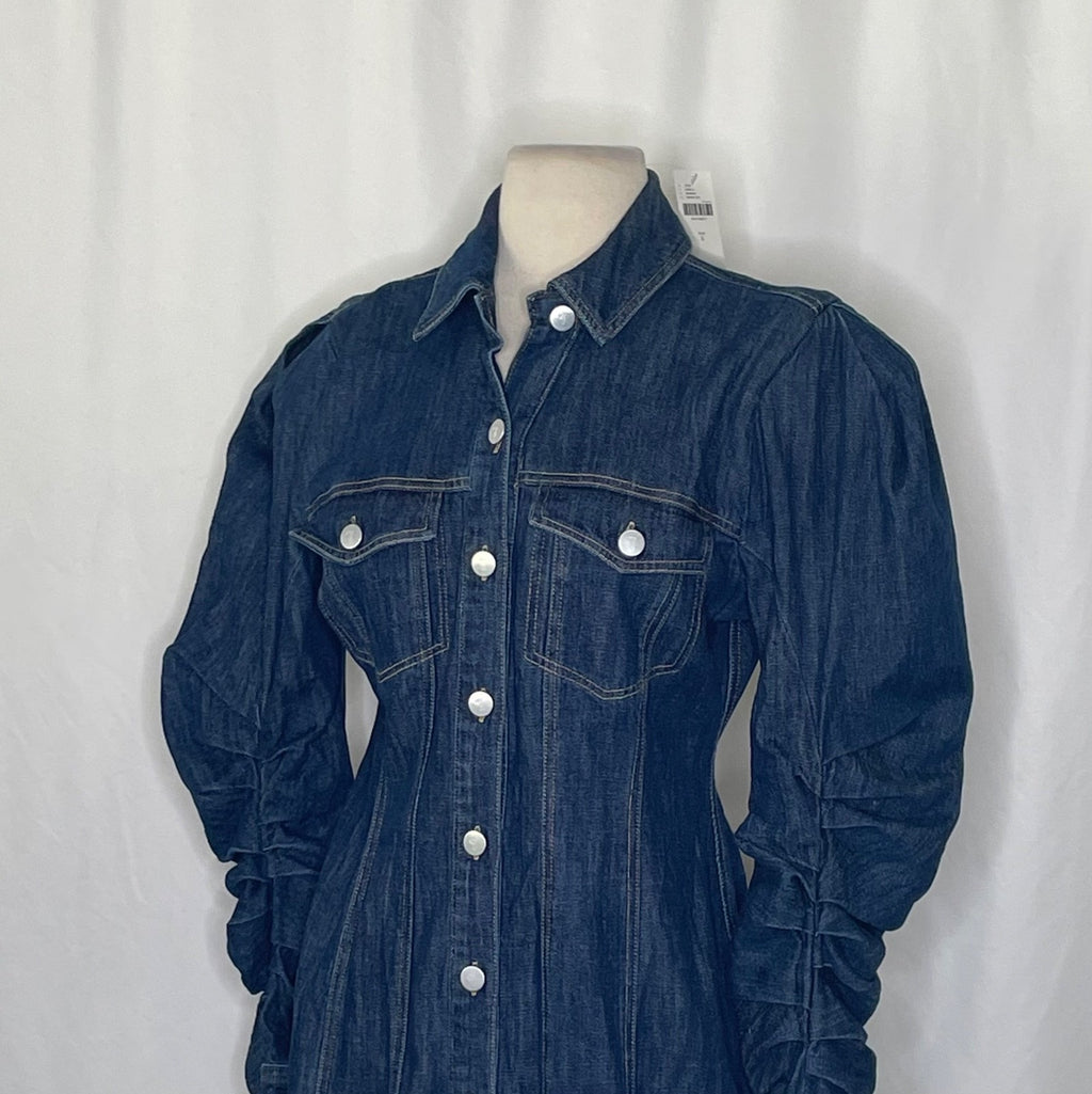 NWT! Anthropologie PILCRO Long-Sleeve Button-Front Seamed Denim Mini Dress Small