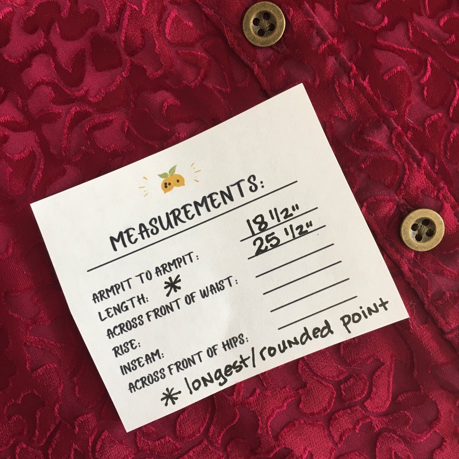 NWT!! ANTHROPOLOGIE Susanna Burnout Velvet ¾ Sleeve Buttondown Top Blouse XS