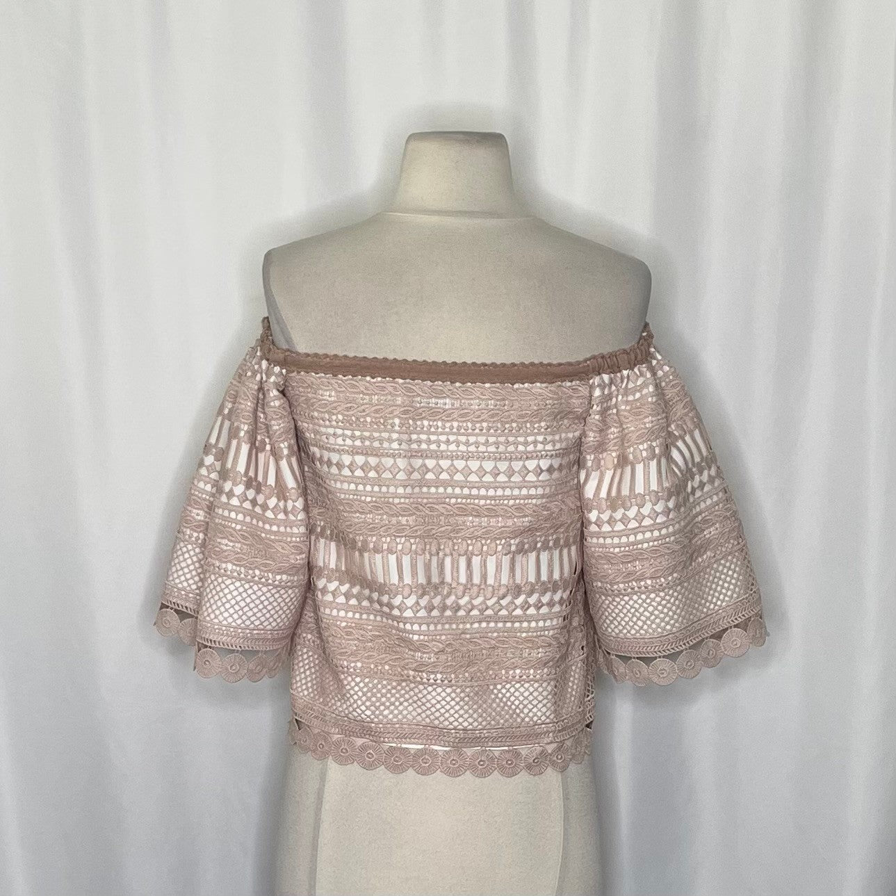 Revolve ALEXIS Finn Lace Off Shoulder Top Blouse Blush Pink Silk Lacey X-Small