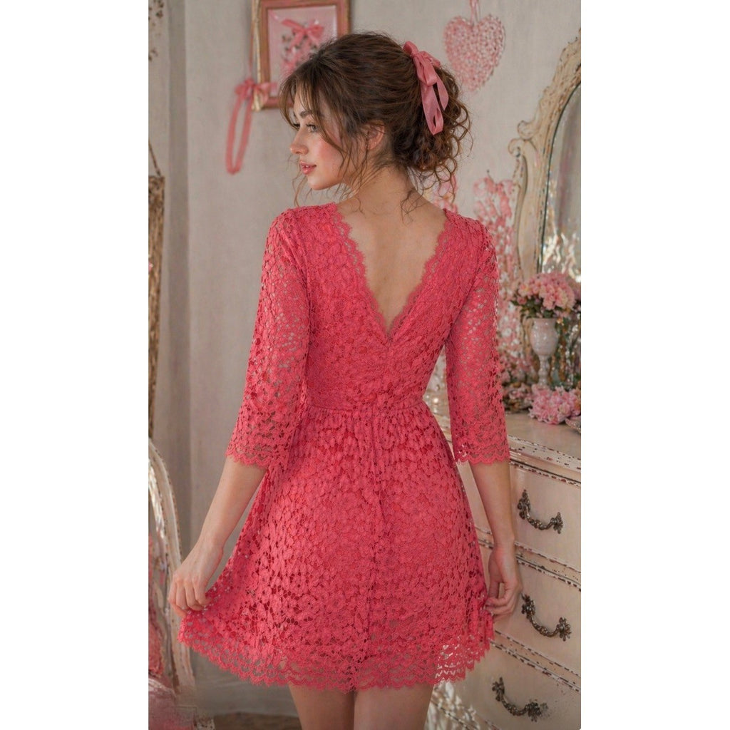 NWT!! ERIN FETHERSTON Pink Floral Lace Dress Fit N' Flare Coquette Lacey Size 4
