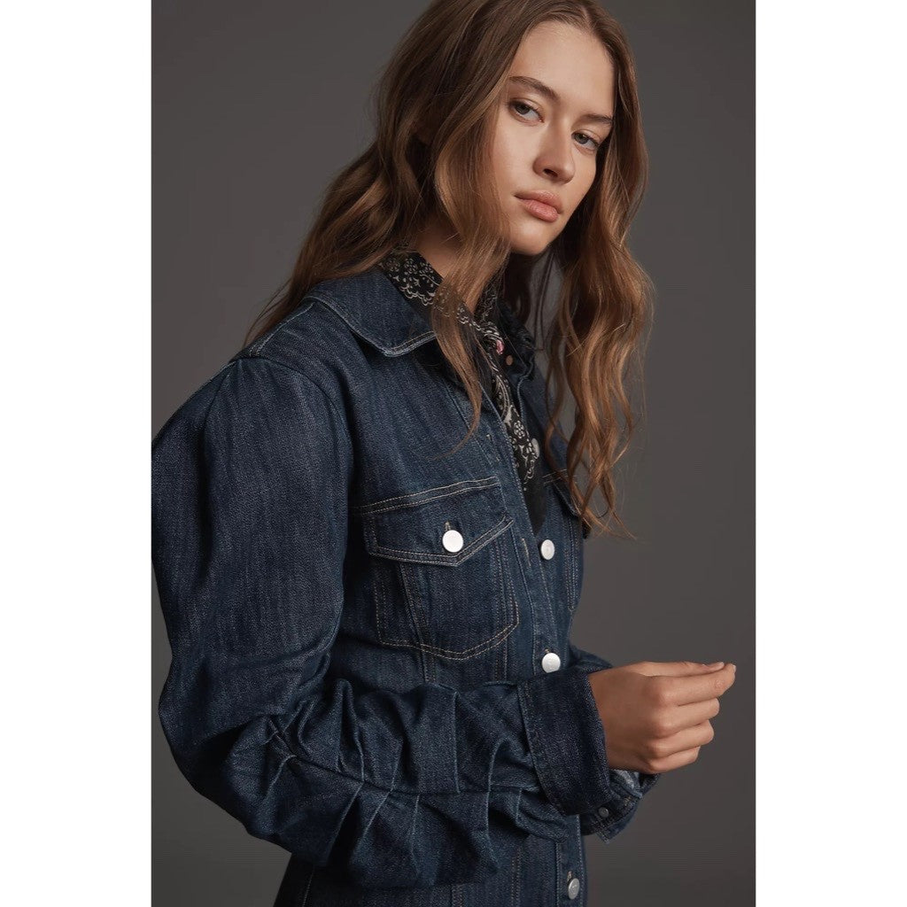 NWT! Anthropologie PILCRO Long-Sleeve Button-Front Seamed Denim Mini Dress Small