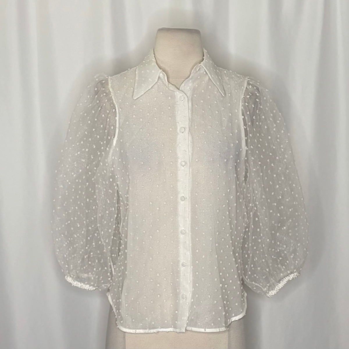 ZARA Swiss Dot Organza Blouse White Sheer Puff Sleeve Top Blouse Buttons X-Small