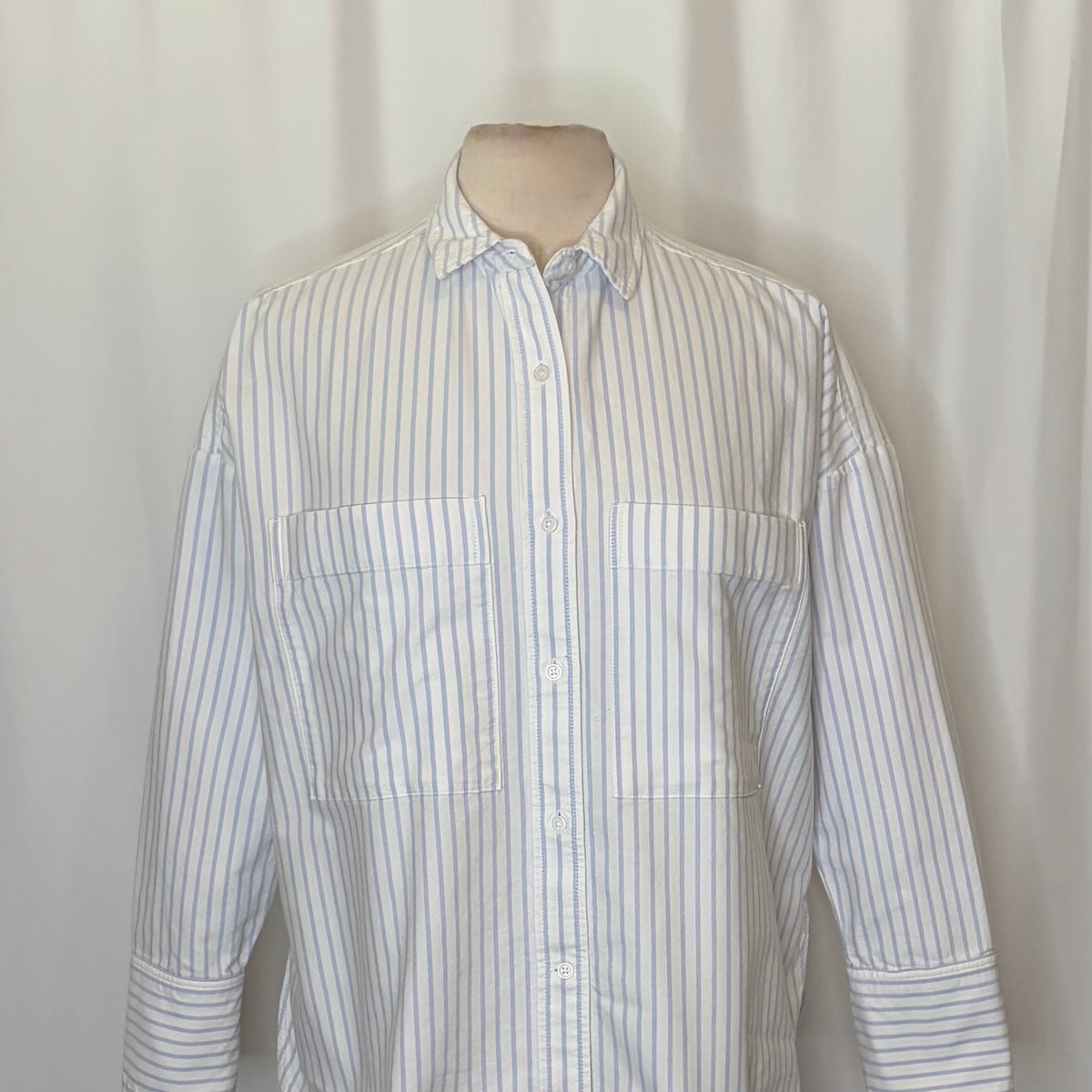 EVERLANE The Boxy Oxford Shirt Blue White Stripe Organic Cotton Oversized Small
