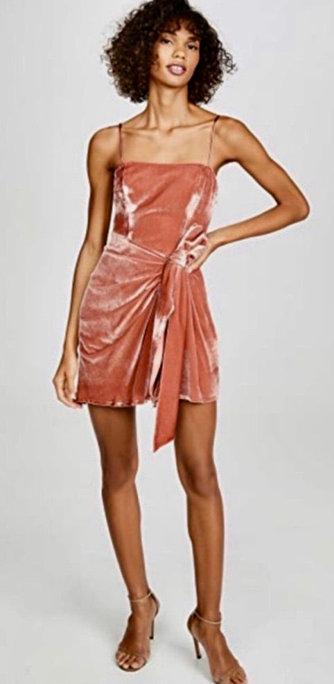 Cinq à Sept Kiki Velvet Mini Dress Rosewood Size 6
