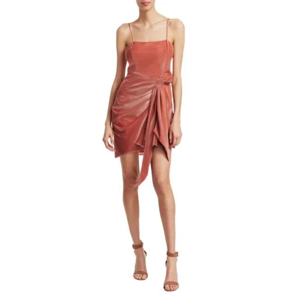 Cinq à Sept Kiki Velvet Mini Dress Rosewood Size 6