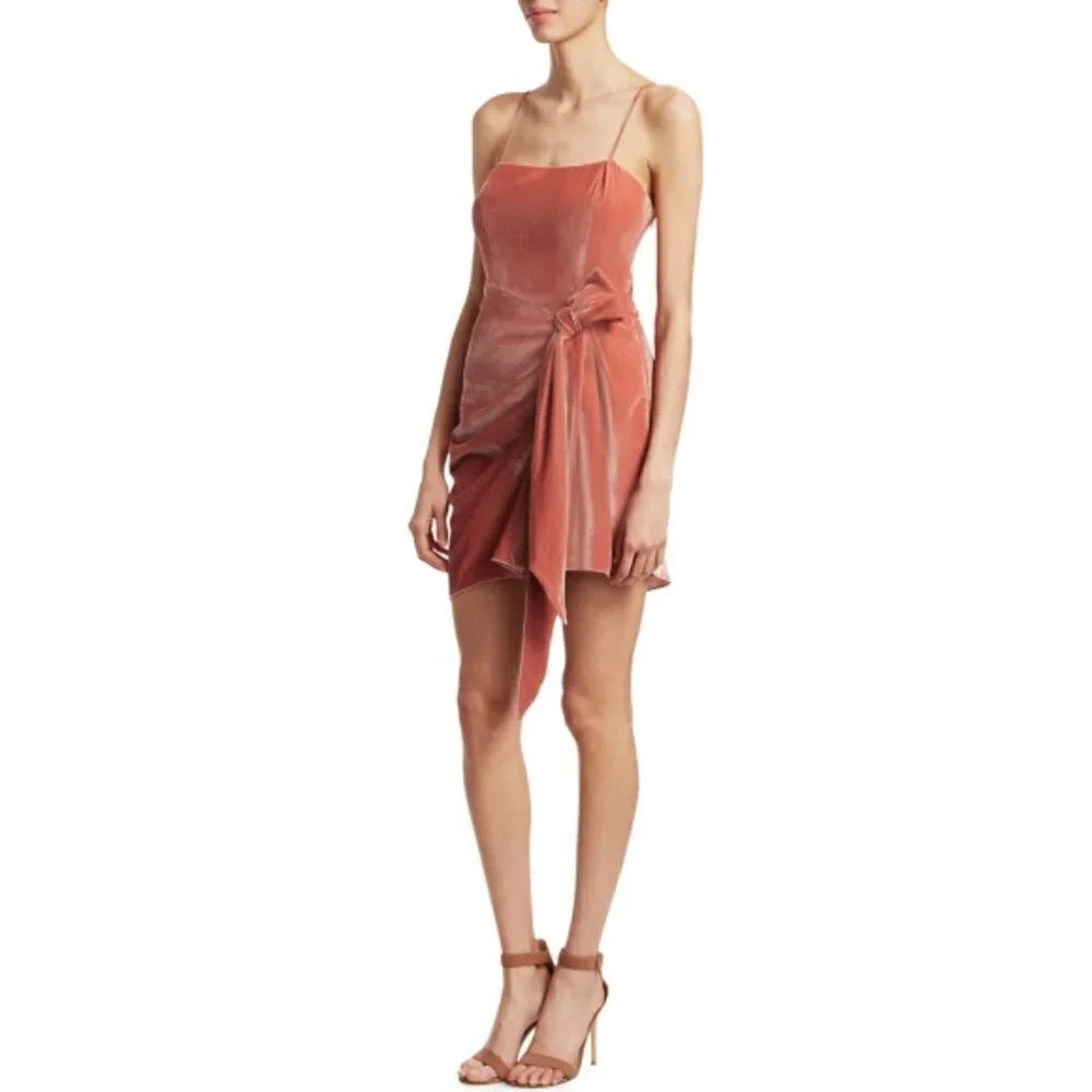 Cinq à Sept Kiki Velvet Mini Dress Rosewood Size 6
