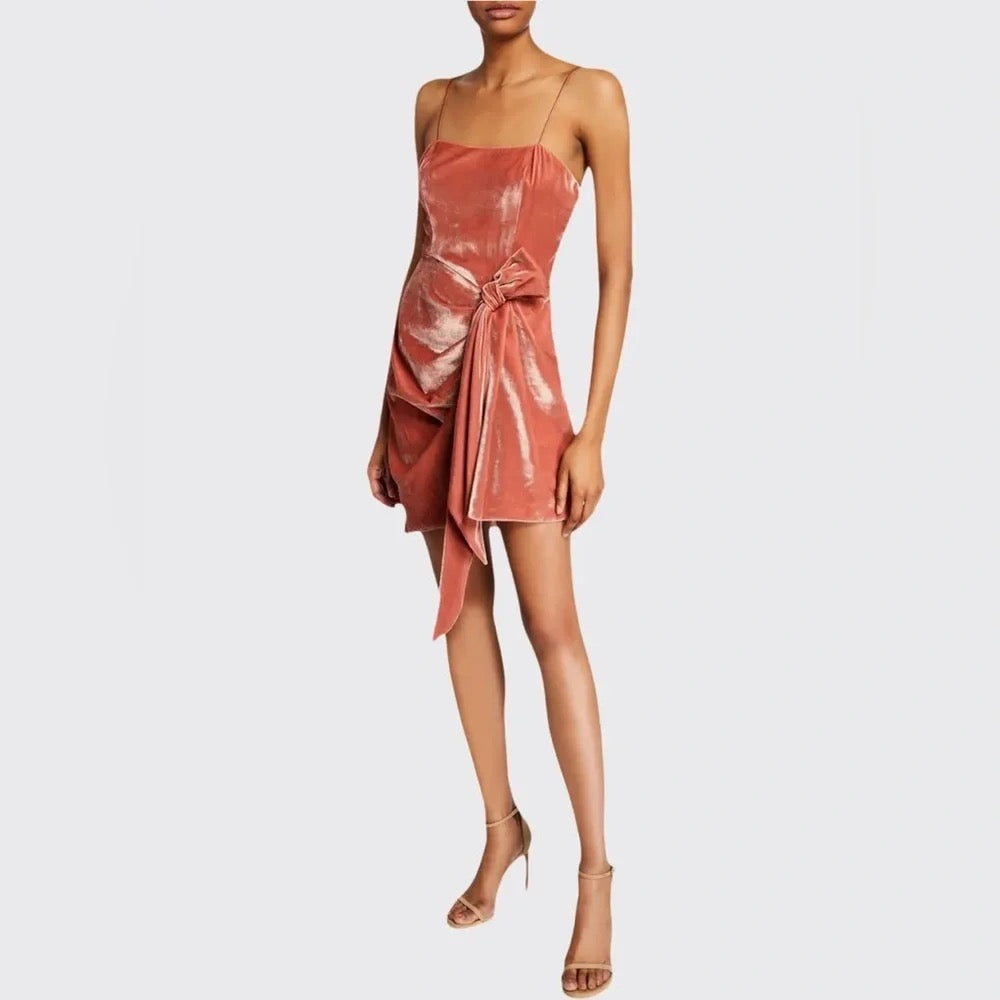 Cinq à Sept Kiki Velvet Mini Dress Rosewood Size 6
