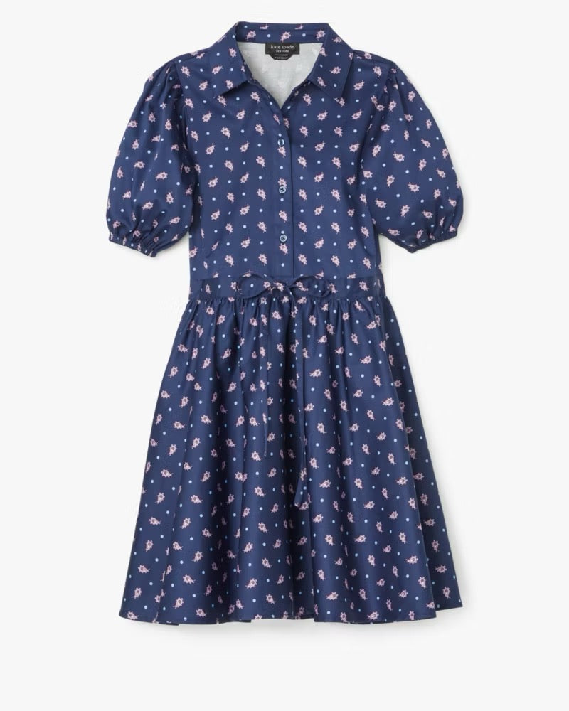 KATE SPADE New York Paisley Foulard Millie Dress Blue Purple Print Pockets Large